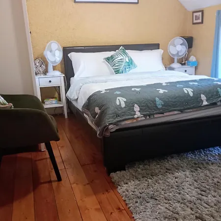 Alloggio in famiglia A Comfy Bedroom And Bathroom On Own Private Floor In A Home Stay 10 Minutes Walk To The Ctr Free Parking Cork