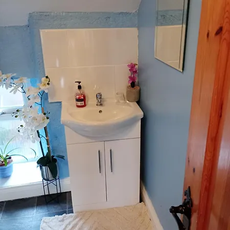 Comfy Bedroom And Private Bathroom On The Floor Of A -10 Mins Walk To The Center - Free Parking - Convenient To Apple Campus Cork