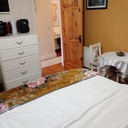 Private And Bathroom In A Stay, Own Floor, Mins Walk To Ctr Cork