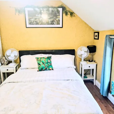 Comfy Bedroom And Private Bathroom On The Floor Of A -10 Mins Walk To The Center - Off Street Parking Homestay Cork