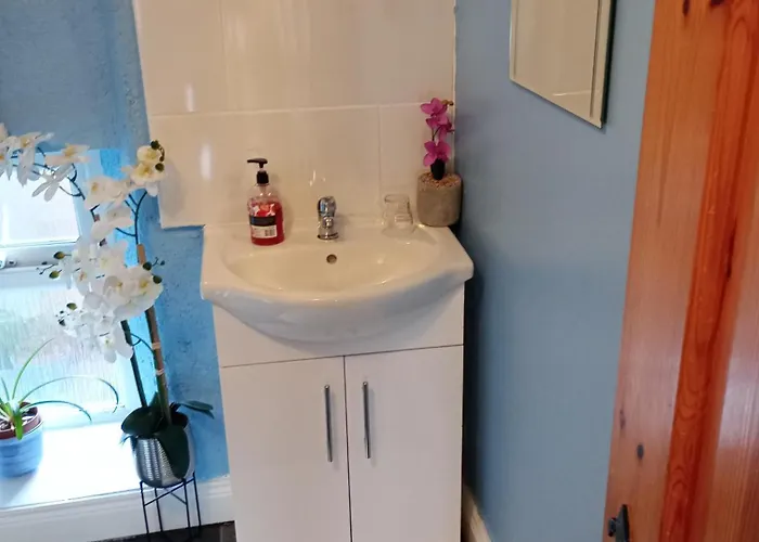 Comfy Bedroom And Private Bathroom On The Floor Of A -10 Mins Walk To The Center - Off Street Parking Cork