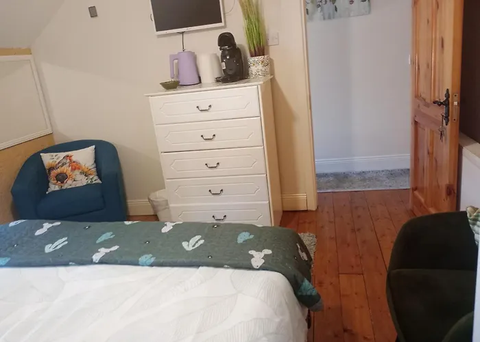 Comfy Bedroom And Private Bathroom On The Floor Of A -10 Mins Walk To The Center - Off Street Parking Séjour chez l'habitant Cork